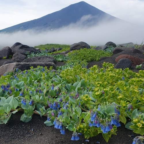 Photo #9579100