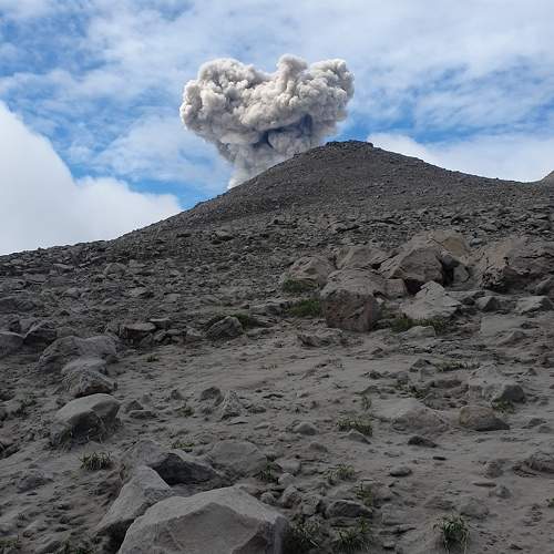 Photo #9579189