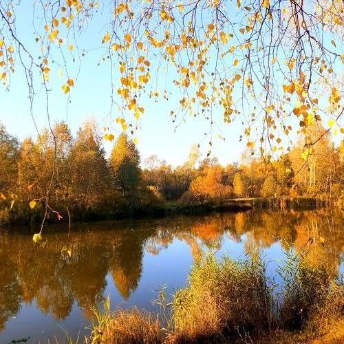 Photo #9579265
