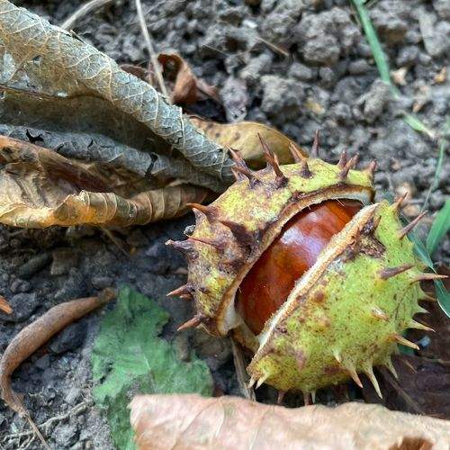Photo #9579432