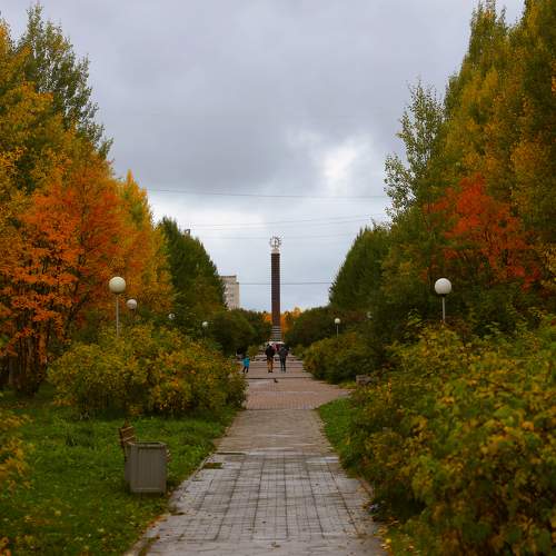 Photo #9579582