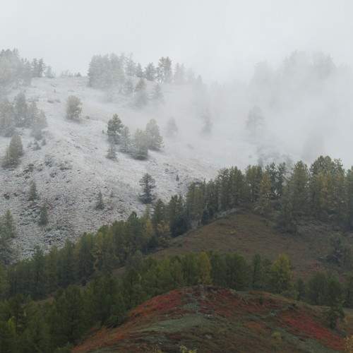 Photo #9579775