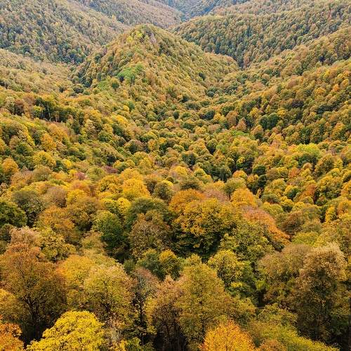 Photo #9580047