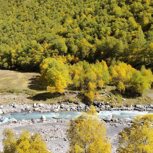 Photo #9580074