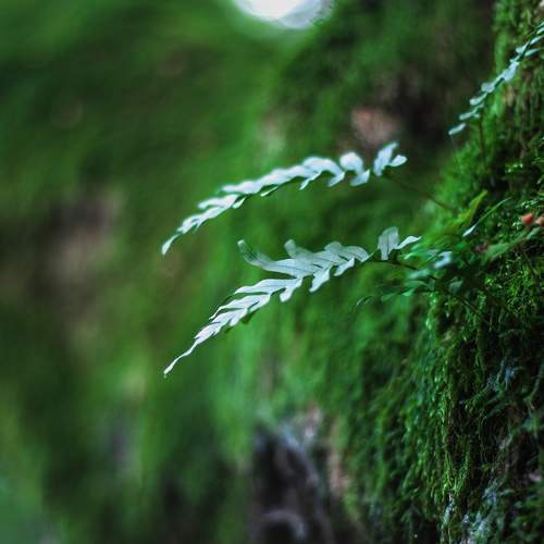 Photo #9580753