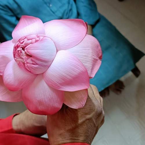 Photo #9580775