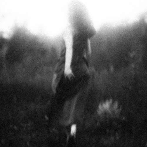 Photo #9581077