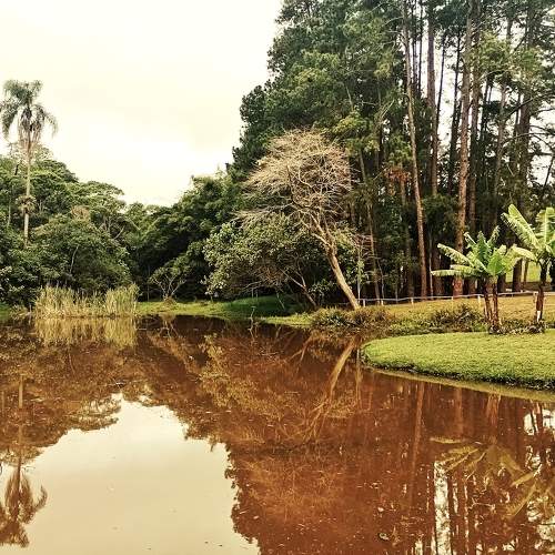 Photo #9581208
