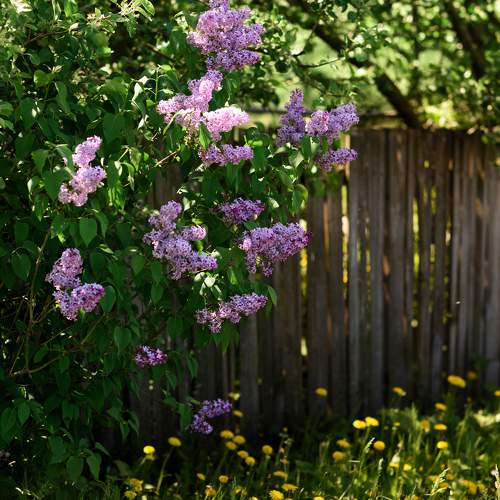 Photo #9581408