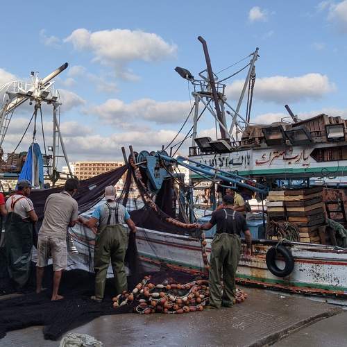 cooperation fishing