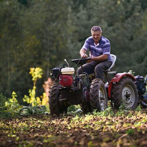 Фотография #9581744