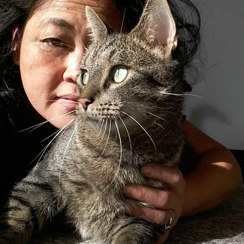 Photo #9581995