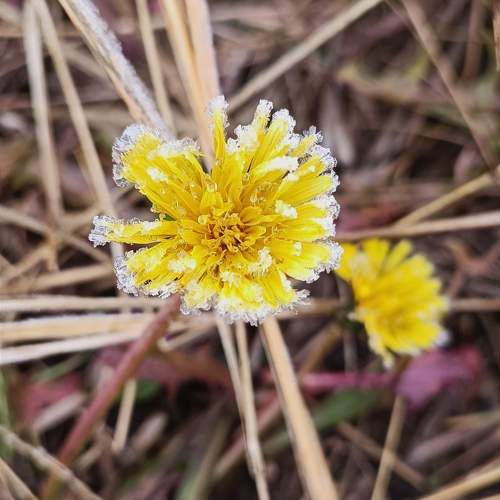 Photo #9582060