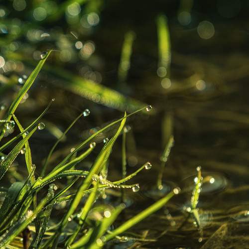 Photo #9582169