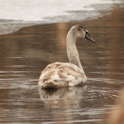 Photo #9582177