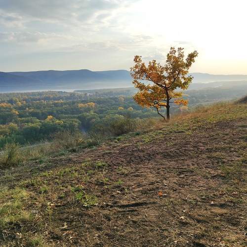 Photo #9582185