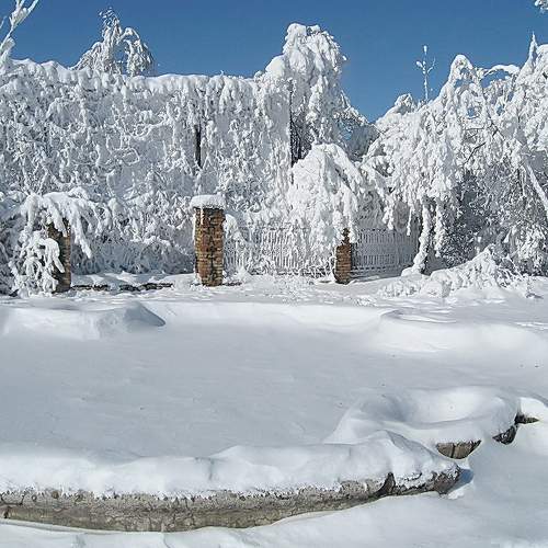 Photo #9582429