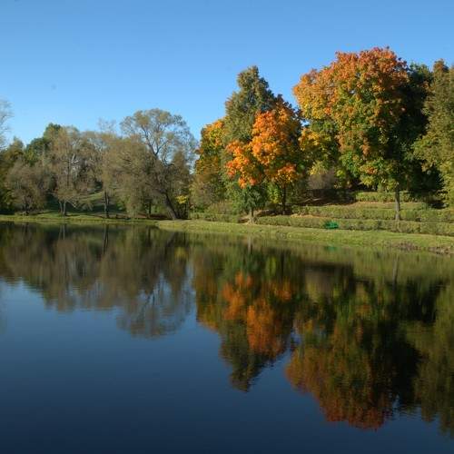 Photo #9582499