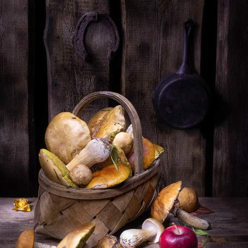Photo #9582508
