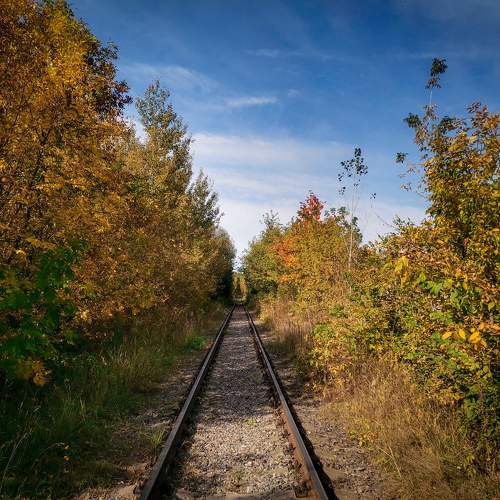 Photo #9582514