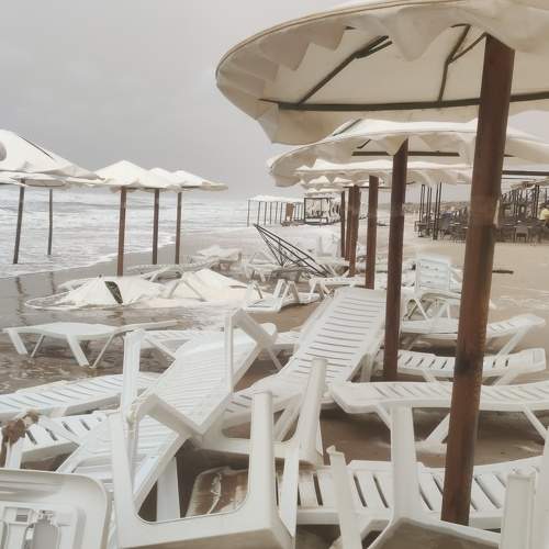Photo #9582605