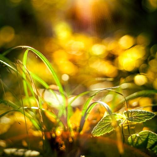 Photo #9583147