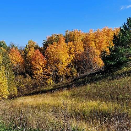 Photo #9583289