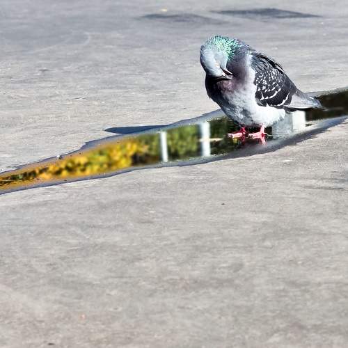 Photo #9583323