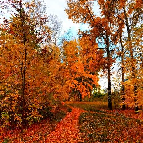 Photo #9583324