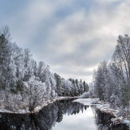 Photo #9583415