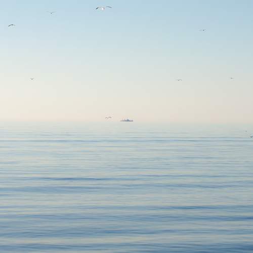 Photo #9583908