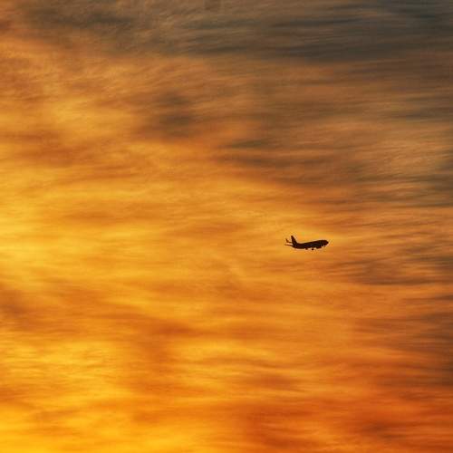 Photo #9583936