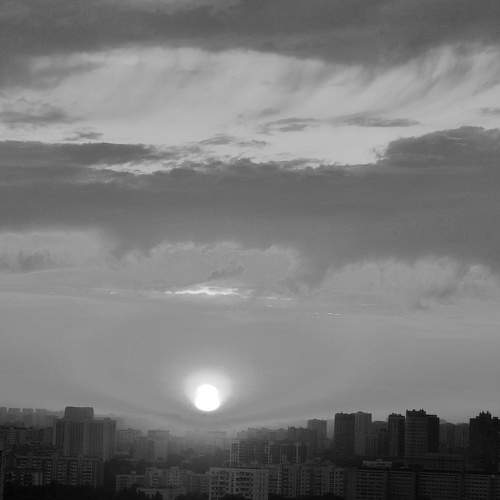 Photo #9584024