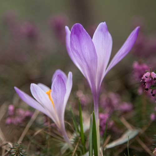 Photo #9584027
