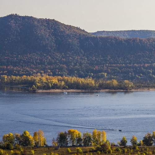 Photo #9584071