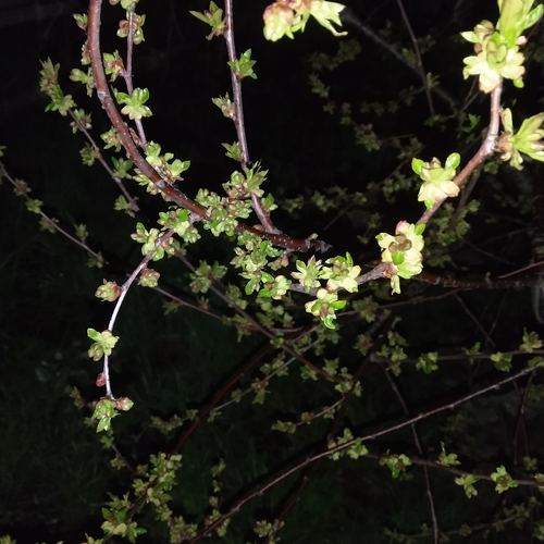 Photo #9584148
