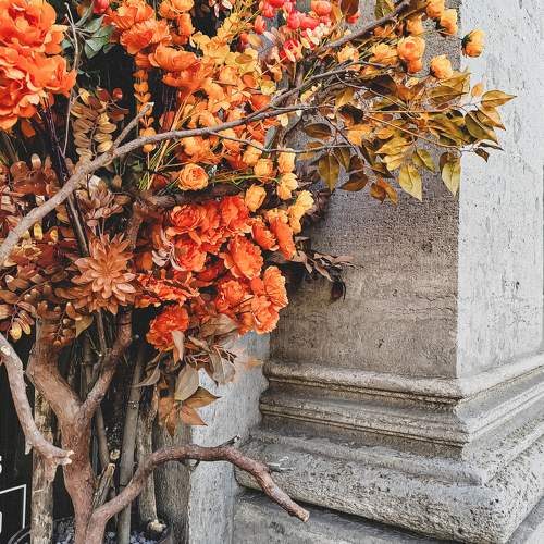 Photo #9584150