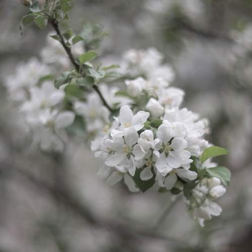 Photo #9584256
