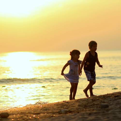 Photo #9584314