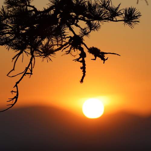Photo #9584406