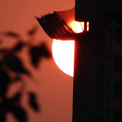 Photo #9584734