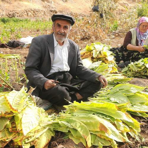 Photo #9584796