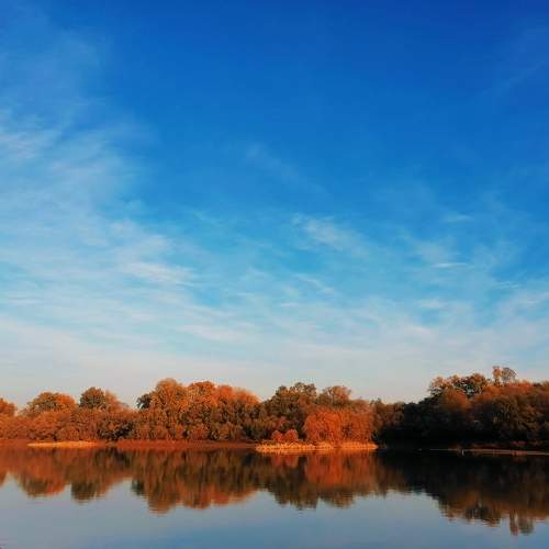 Photo #9584858