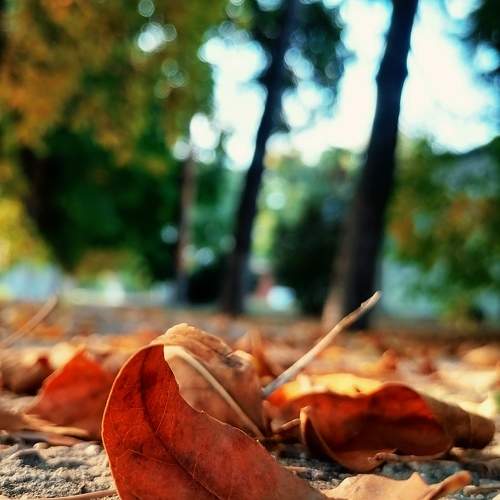 Photo #9584893