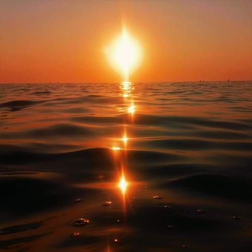 Photo #9584896