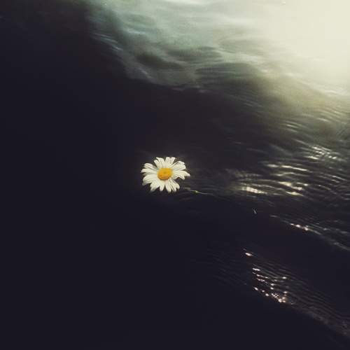 Photo #9585041