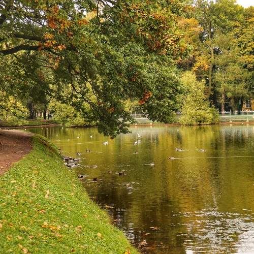 Photo #9585149