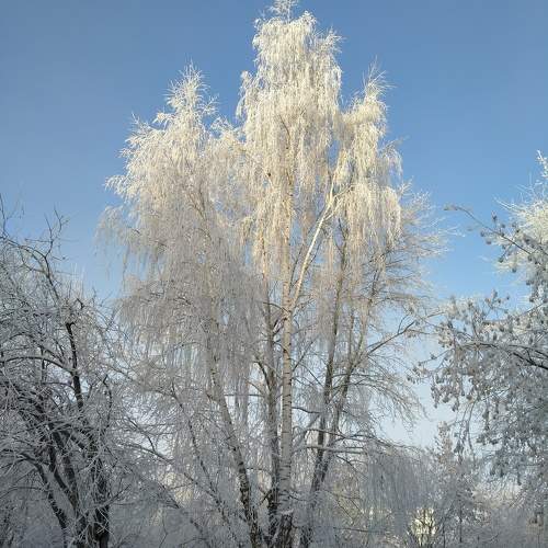 Photo #9585197