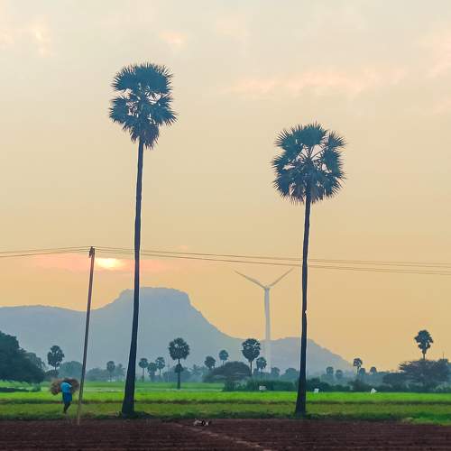 Photo #9585215