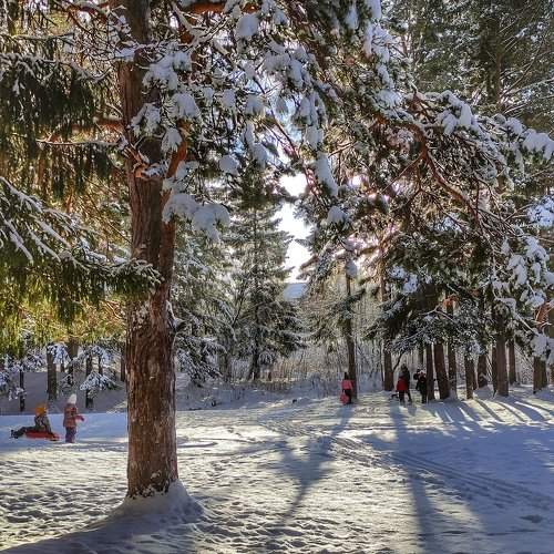 Photo #9585229